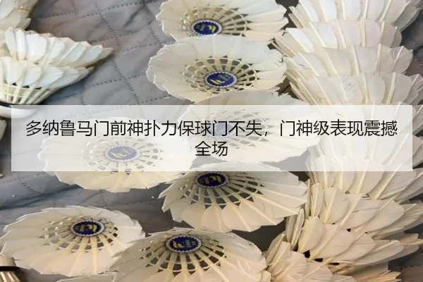 多纳鲁马门前神扑力保球门不失，门神级表现震撼全场