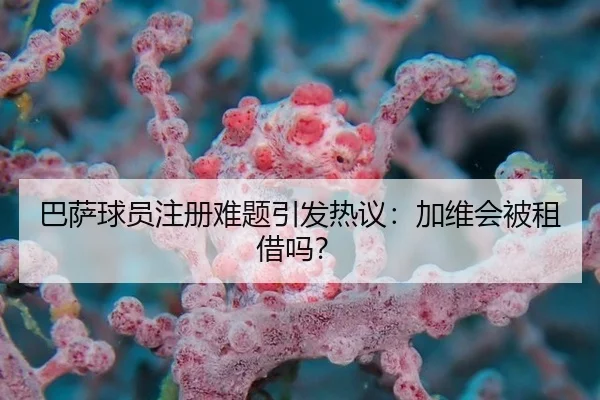 巴萨球员注册难题引发热议：加维会被租借吗？