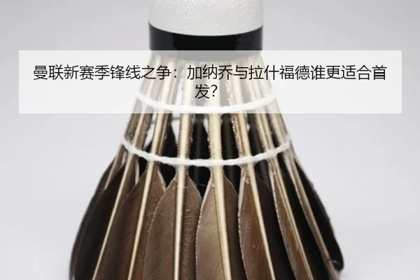 man-lian-xin-sai-ji-feng-xian-zhi-zheng-jia-na-qiao-yu-la-shen-fu-de-shui-geng-shi-he-shou-fa-2-202.jpg